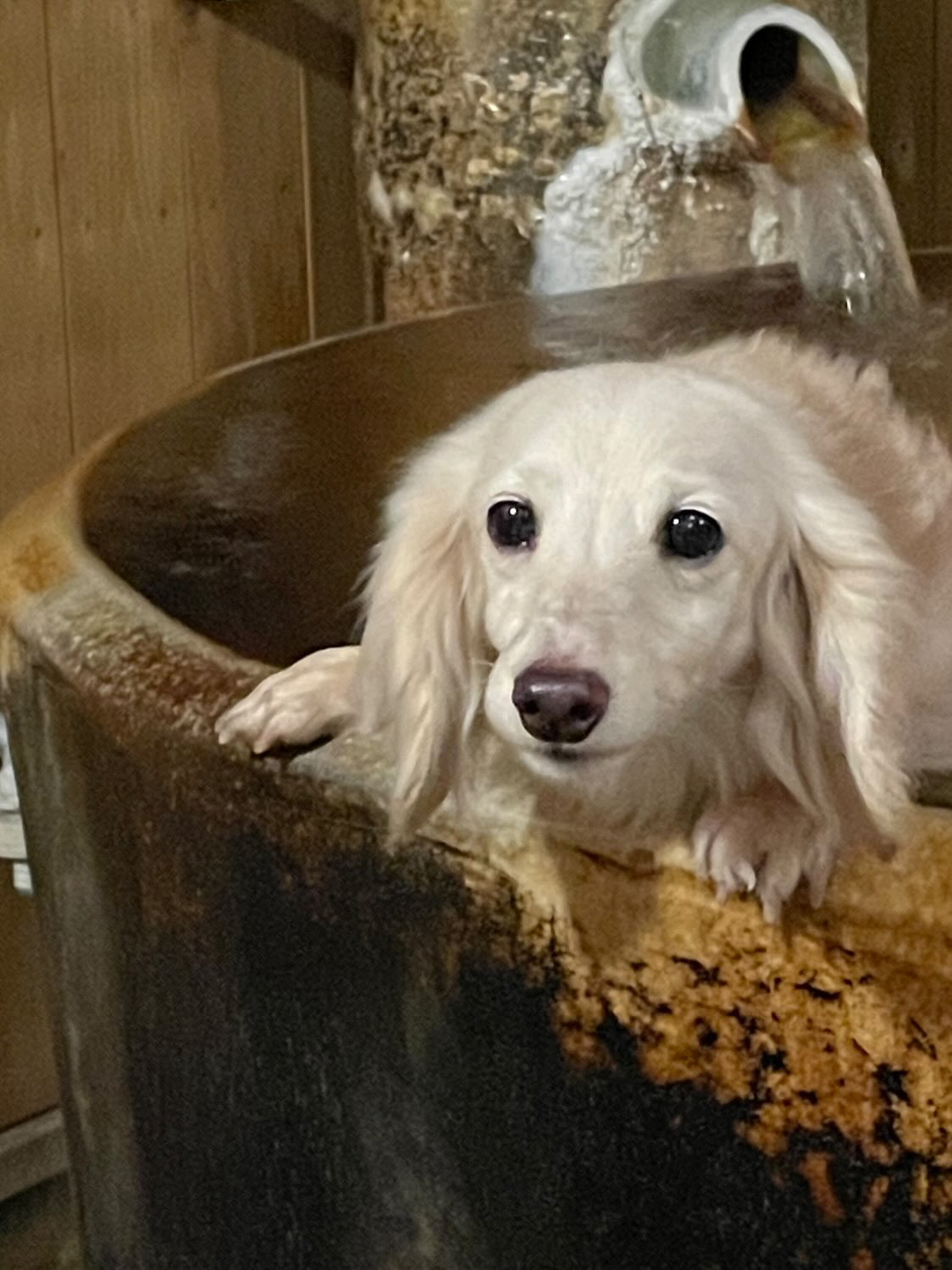 森田　うた